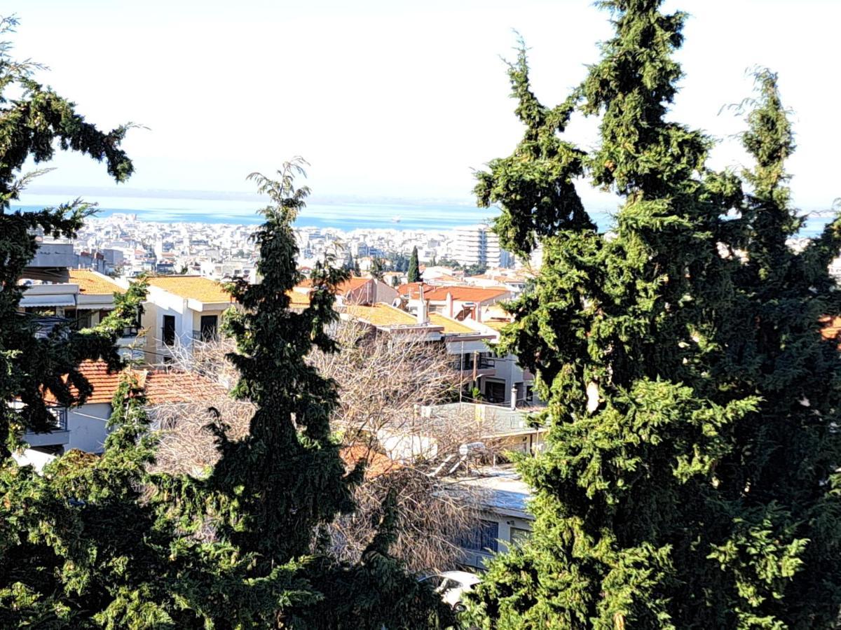 Όμορφο Διαμέρισμα- Σοφίτα Με Υπέροχη Θεα Салоники Экстерьер фото